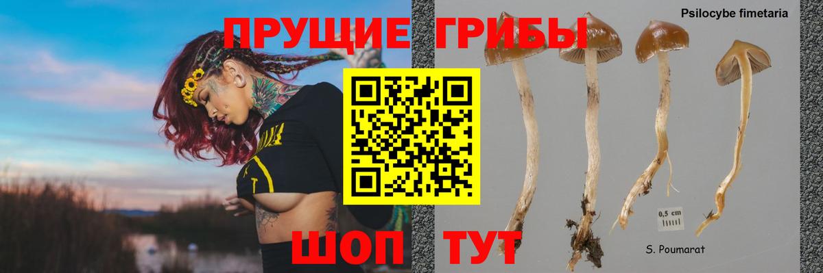 Нововоронеж  Галлюциногенные грибы Magic Shrooms  Вход с VPN 