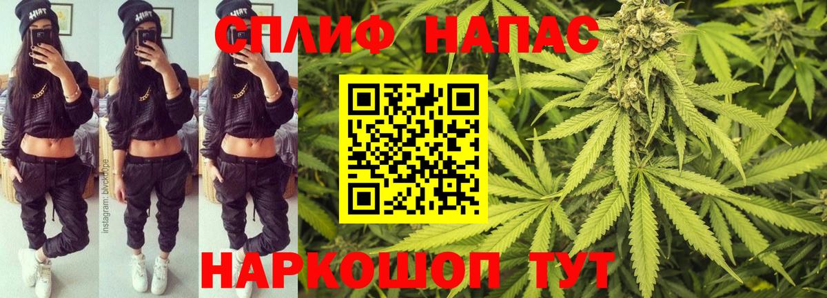 Шишки марихуана марихуана  Конопля White Widow  Вход с VPN  Нововоронеж 